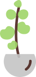 Eukalyptus